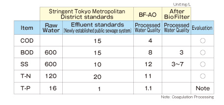 Quality of Water Processed through  the BF-AO Method